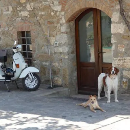 Vakantieboerderij Il Granaio Della Fonte Castiglione dʼOrcia