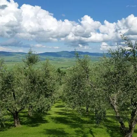 Vakantieboerderij Il Granaio Della Fonte *